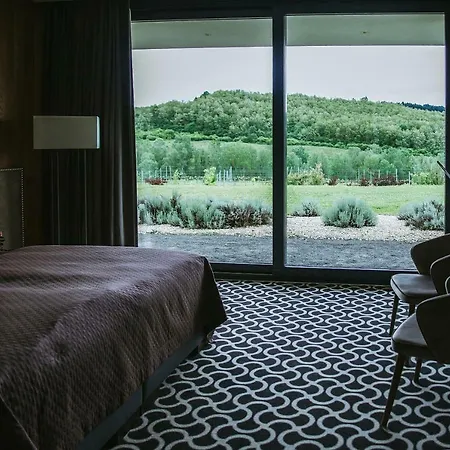 Hotel Lajver Borbirtok